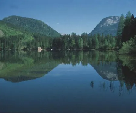 Domek alpejski Ferienhaus Nelln *