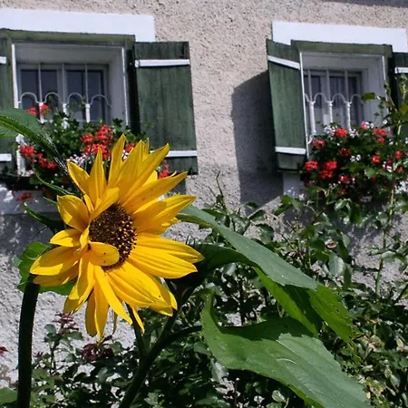 Ferienhaus Nelln
